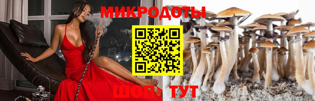 Псилоцибиновые грибы GOLDEN TEACHER  наркотики  Лысьва  Вход с VPN 
